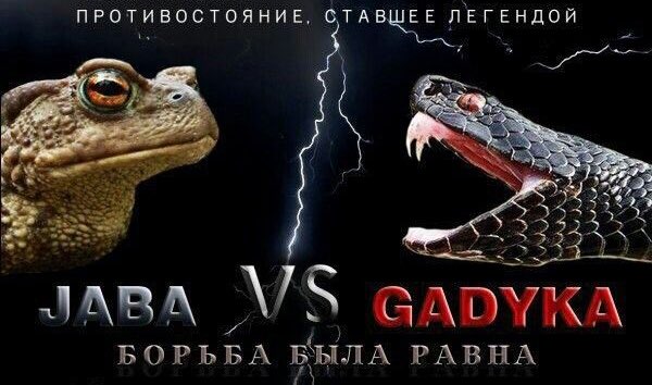 Начинаем?
